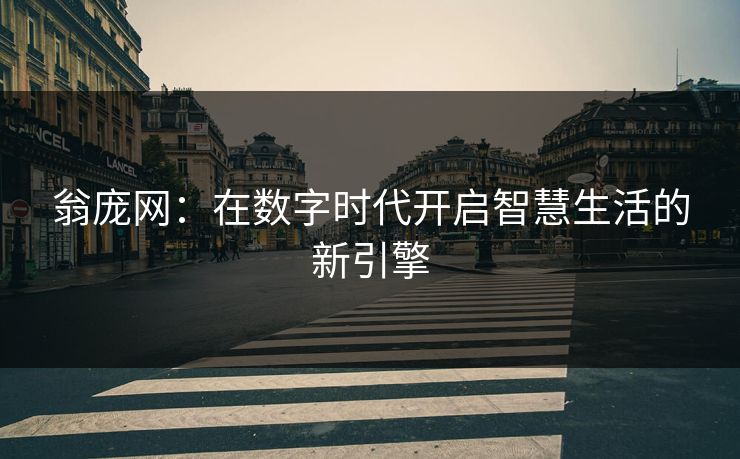 翁庞网：在数字时代开启智慧生活的新引擎