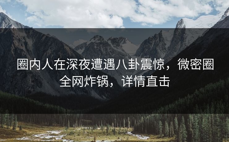 圈内人在深夜遭遇八卦震惊，微密圈全网炸锅，详情直击
