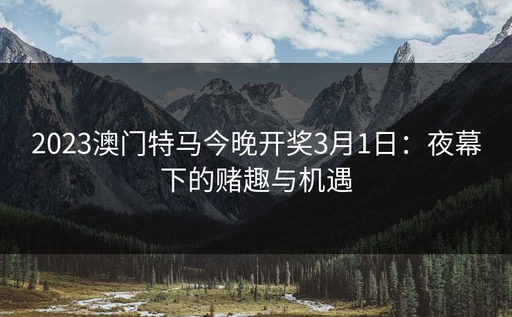 2023澳门特马今晚开奖3月1日：夜幕下的赌趣与机遇